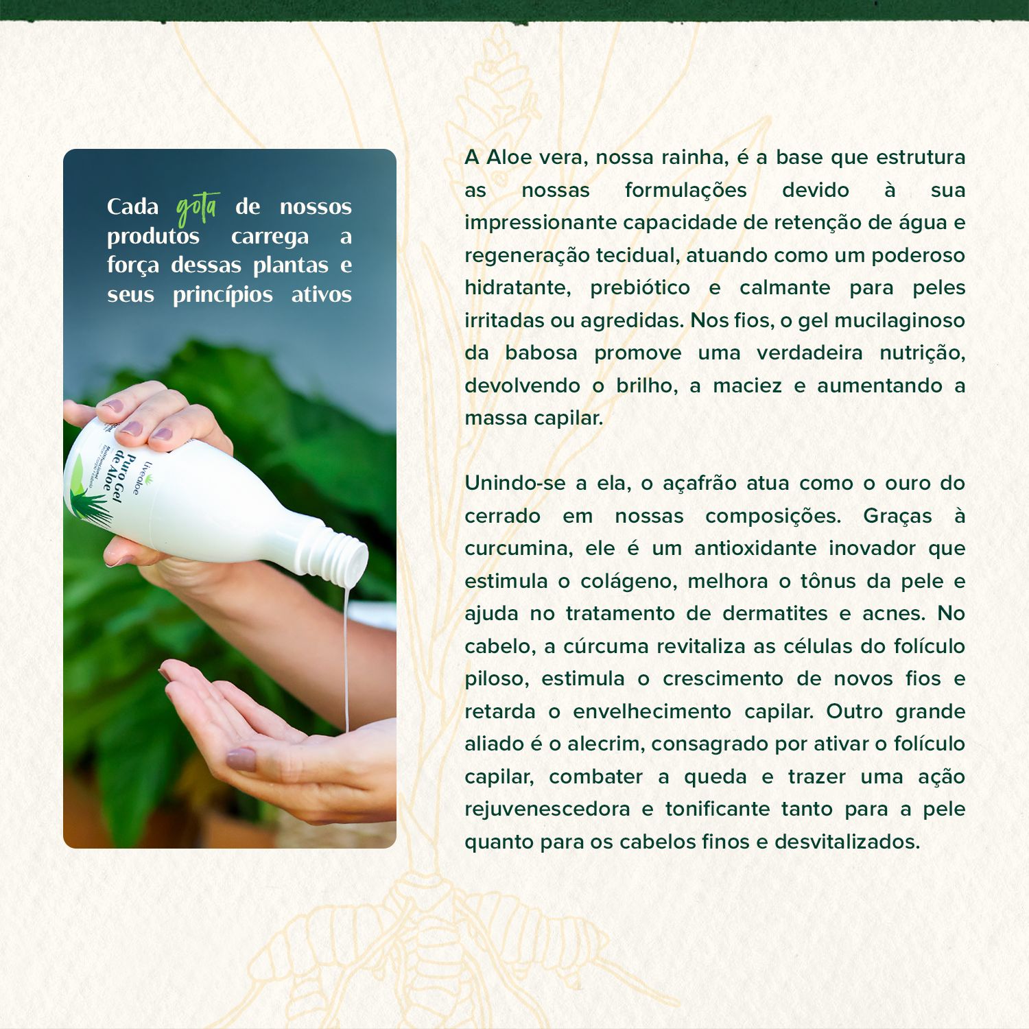 O poder da natureza sempre esteve impresso em nossa essência