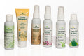 Kit Miniaturas Livealoe