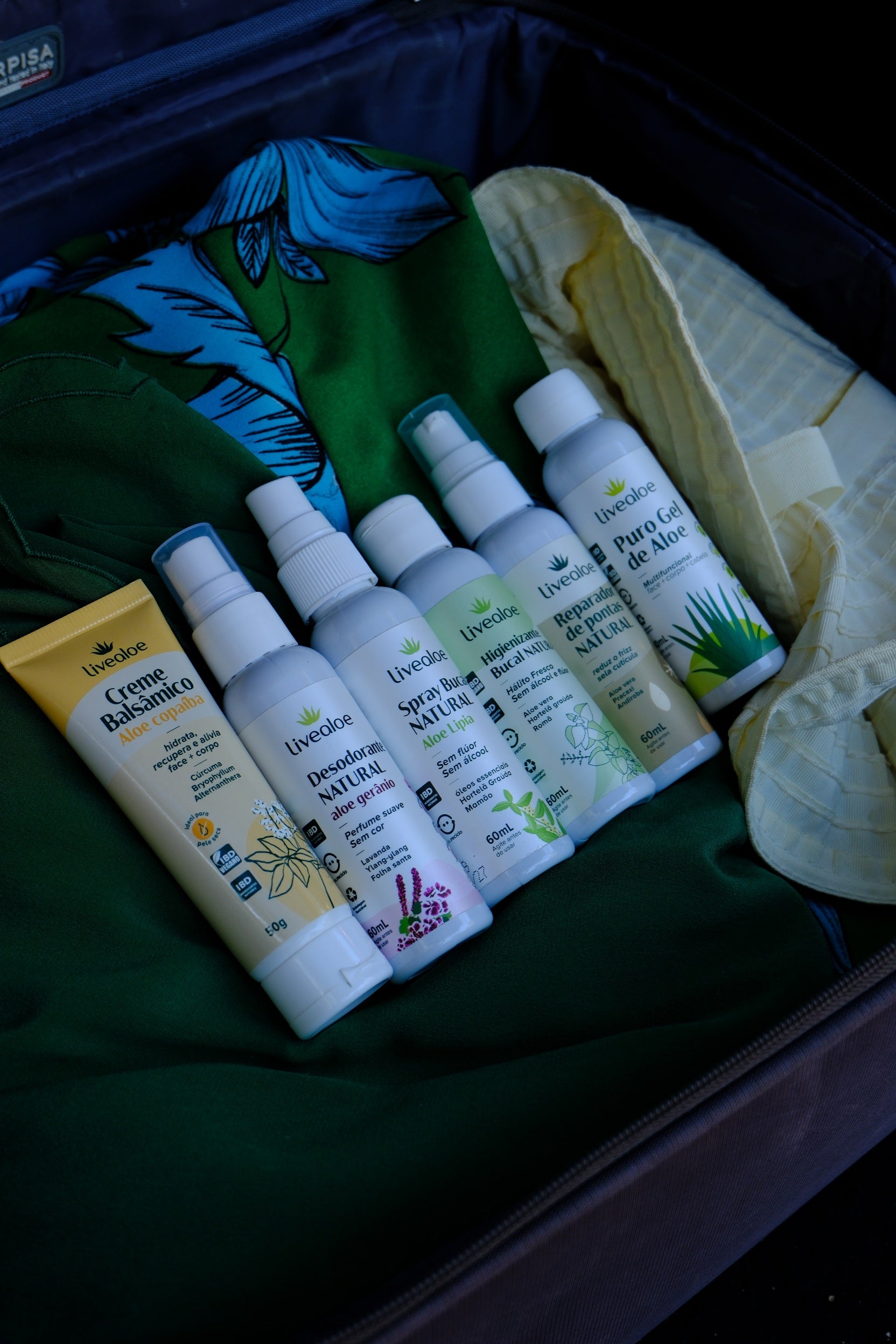 Kit Miniaturas Livealoe